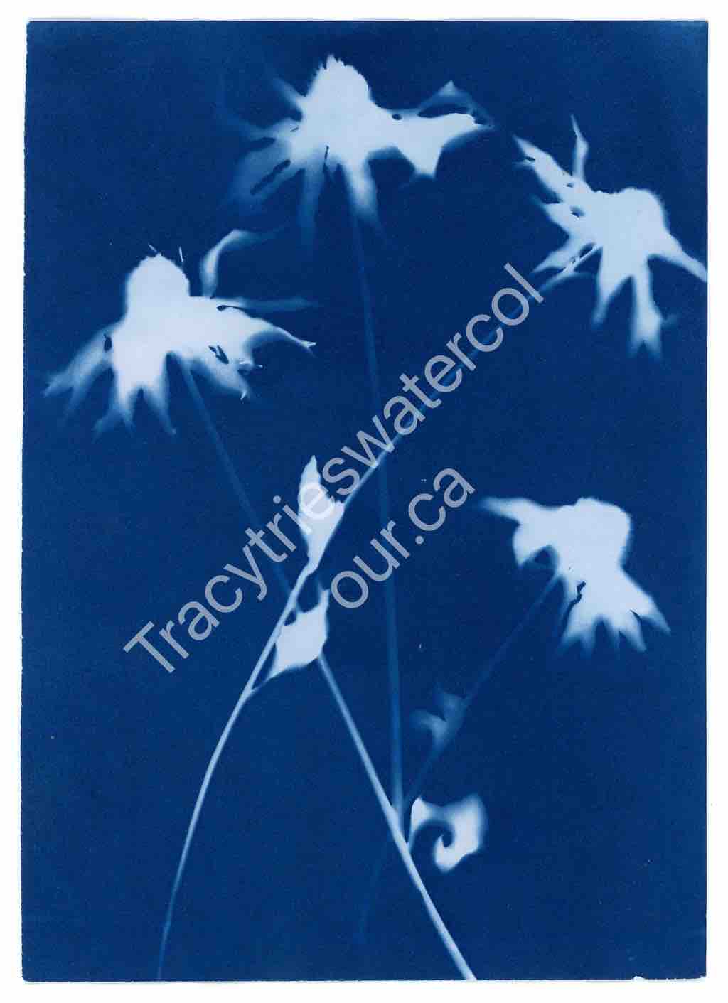 Fan Favourites &mdash; original watercolour painting by Tracy Green of botanical silhouettes in deep blue