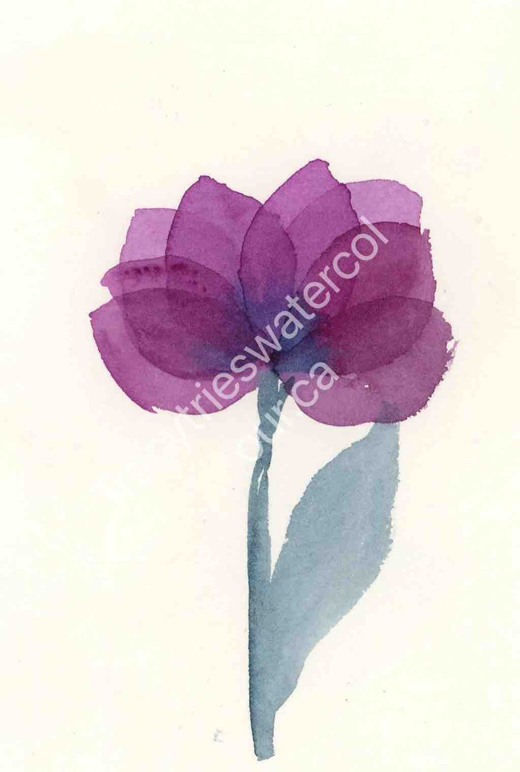 Fan favourite original floral watercolour painting by Tracy Green