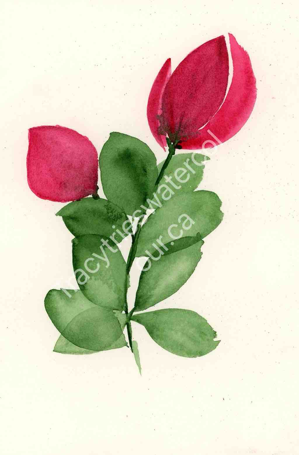Fan favourite original floral watercolour painting by Tracy Green