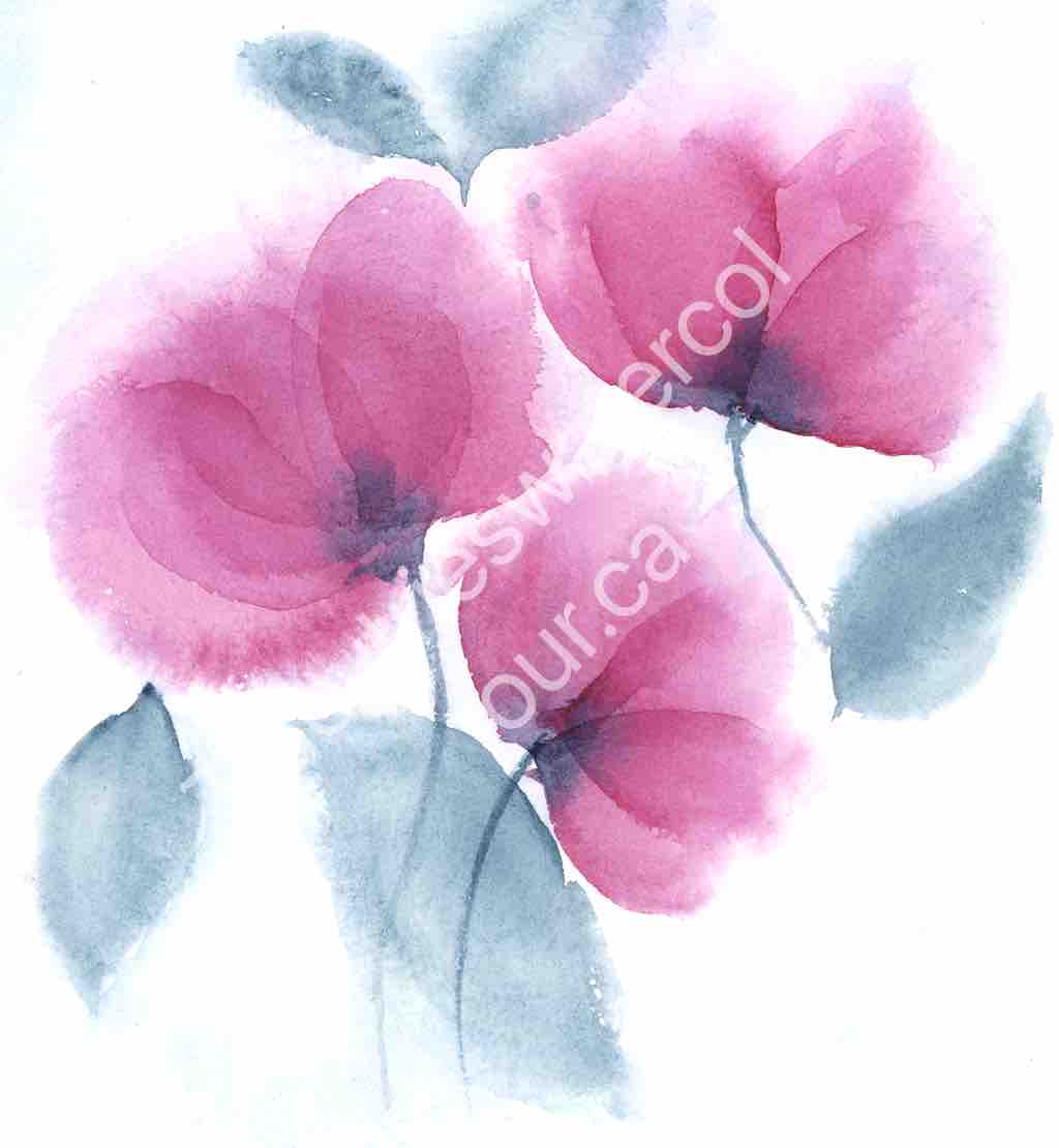 Original floral watercolour painting by Tracy Green of pink blooms with soft grey-blue leaves