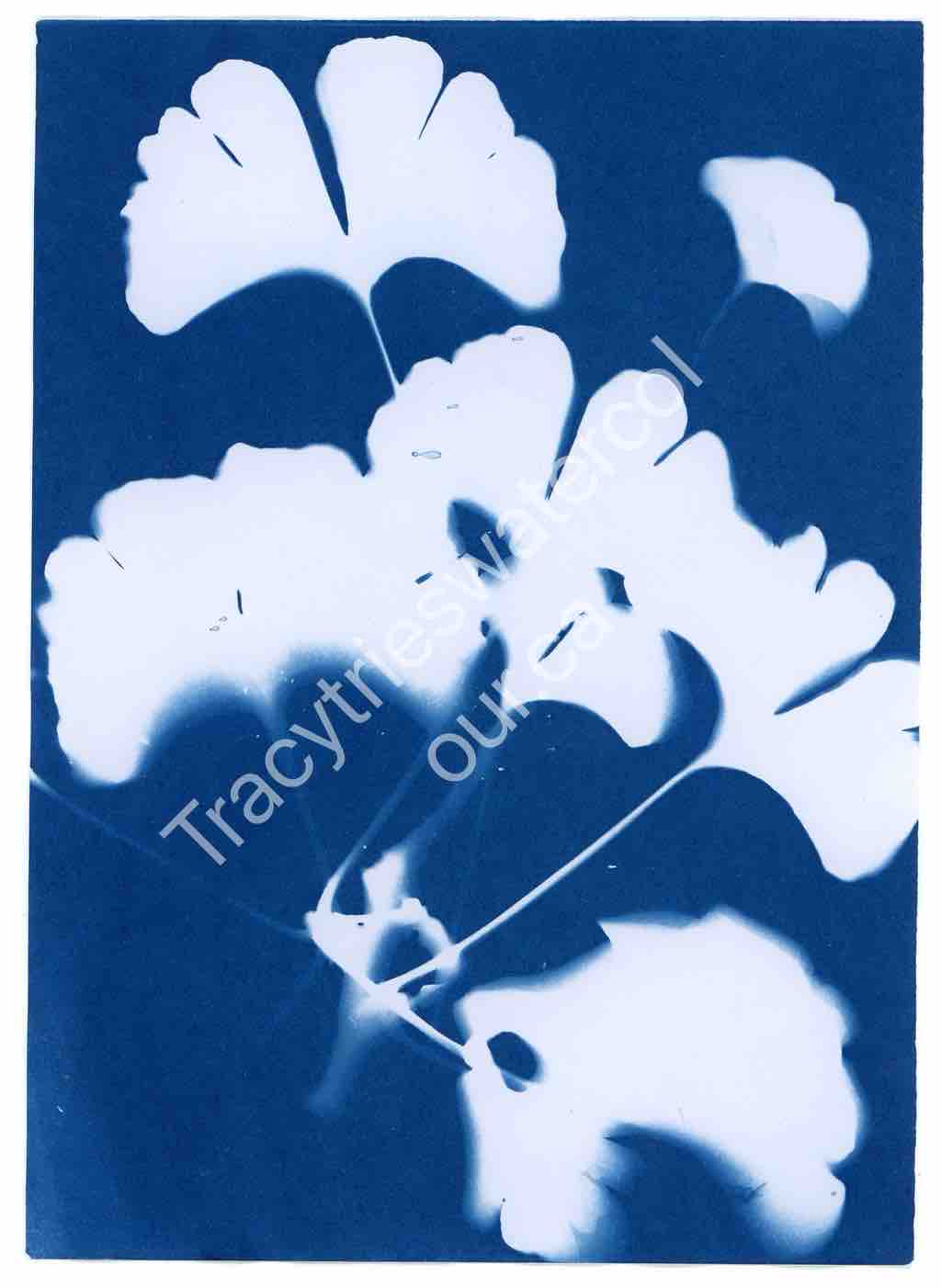 Original floral watercolour painting by Tracy Green