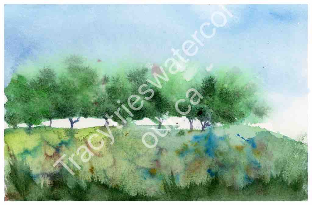 Original landscape watercolour painting by Tracy Green